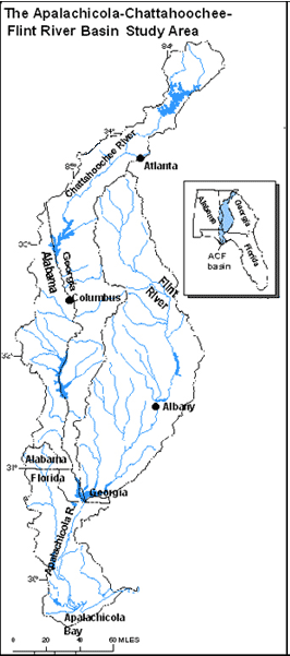 Map of the ACF basin study area.