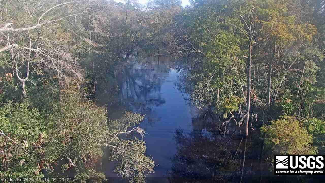 Withlacoochee River at Skipper Bridge Rd. near Bemiss