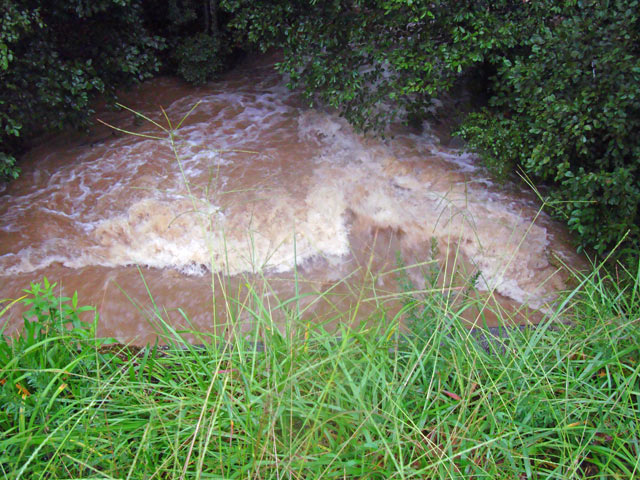 Wheeler Creek at Bill Cheek Rd. Stream stage was 3 feet, corresponding to about 120 cubic feet per second.