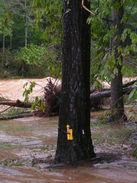 The yellow pipe contains a new quick-deployment device to record river stage.