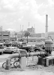 Production well at St Marys test site, St Marys, Georgia, July 1999. Photograph by Alan M. Cressler